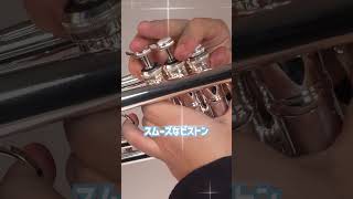 PLAYTECH / PTTR-300SII　#サウンドハウス #PLAYTECH #管楽器
