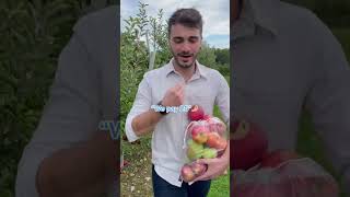 Taking My Italian Husband Apple Picking For The First Time