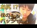 バッシャ〜が仲間入り