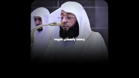 تلاوات عطره للشيخ بدر التركي #بدر_التركي #تلاوات #تلاوات_خاشعة  #قرآن #سورة_طه