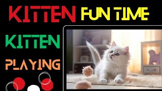 : My Kitten Fun time/Funny Cat videos/Kitten Playing/Cat/Kitten/Cute Cat/Funny Cat/