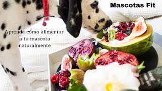 MASCOTAS FIT, PROGRAMA DE NUTRICIÓN NATURAL CANINA Y FELINA. NUNCA ES DEMASIADO TARDE. ¡EMPIEZA YA! screenshot 4