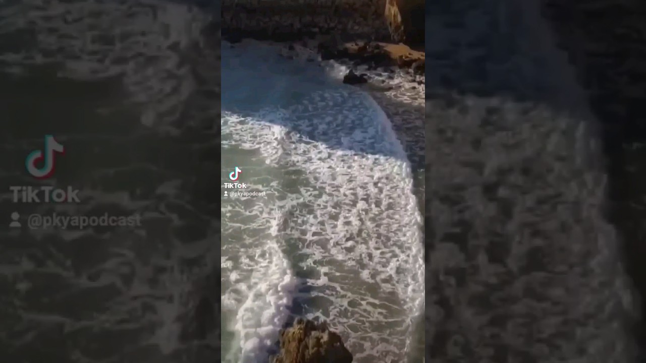 step in your purpose 🙏