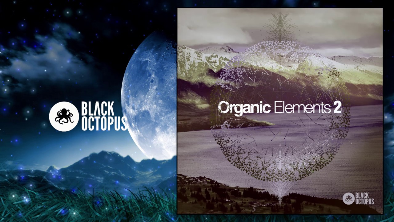 Organic Elements 2 (samples for techno, deep house, tech house, minimal)