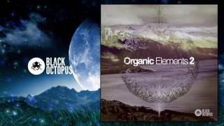 Organic Elements 2 (samples for techno, deep house, tech house, minimal)