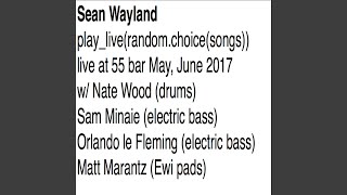 Dark Skies (Live at 55 bar 2017 Wood le Fleming) (Live) (feat. Nate Wood & Orlando le Fleming) - sean wayland