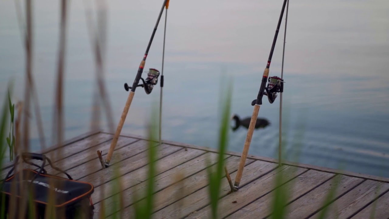 Fishing  HD Stock Video | Free stock footage | Free HD Videos - No Copyright | Free Stock Videos