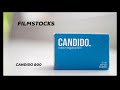 Candido 800