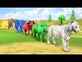 Long slide game with elephant gorilla buffalo hippopotamus tiger  3d animal game  funny 3d animals