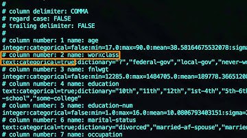 Skytree Data Preparation Training Video