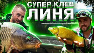 видео: Ловля КАРПА, ЛИНЯ и САЗАНА на ФЛЭТ ФИДЕР! Разбойник ЛИНЬ не слазит с крючка! РЫБАЛКА 2020! картинка: Ловля КАРПА, ЛИНЯ и САЗАНА на ФЛЭТ ФИДЕР! Разбойник ЛИНЬ не слазит с крючка! РЫБАЛКА 2020!