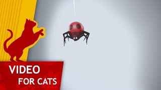 Cat Games - Get that Red Spider (Video for Cats to watch)