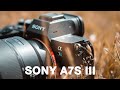 SONY A7S III I ALLES NEU oder NUR STANDARD I REVIEW I 4K