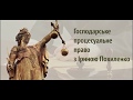 Розгляд справи по суті в господарському суді