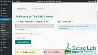The SEO Theme: automatic install