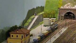 E655.081 + Treno Intermodale al GMFR