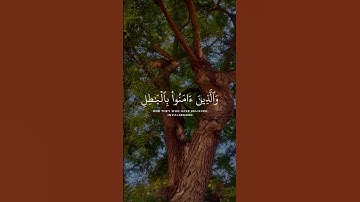 القرآن الكريم راحة نفسية #القرآن_الكريم #المصحف #اكسبلور #راحة_نفسية