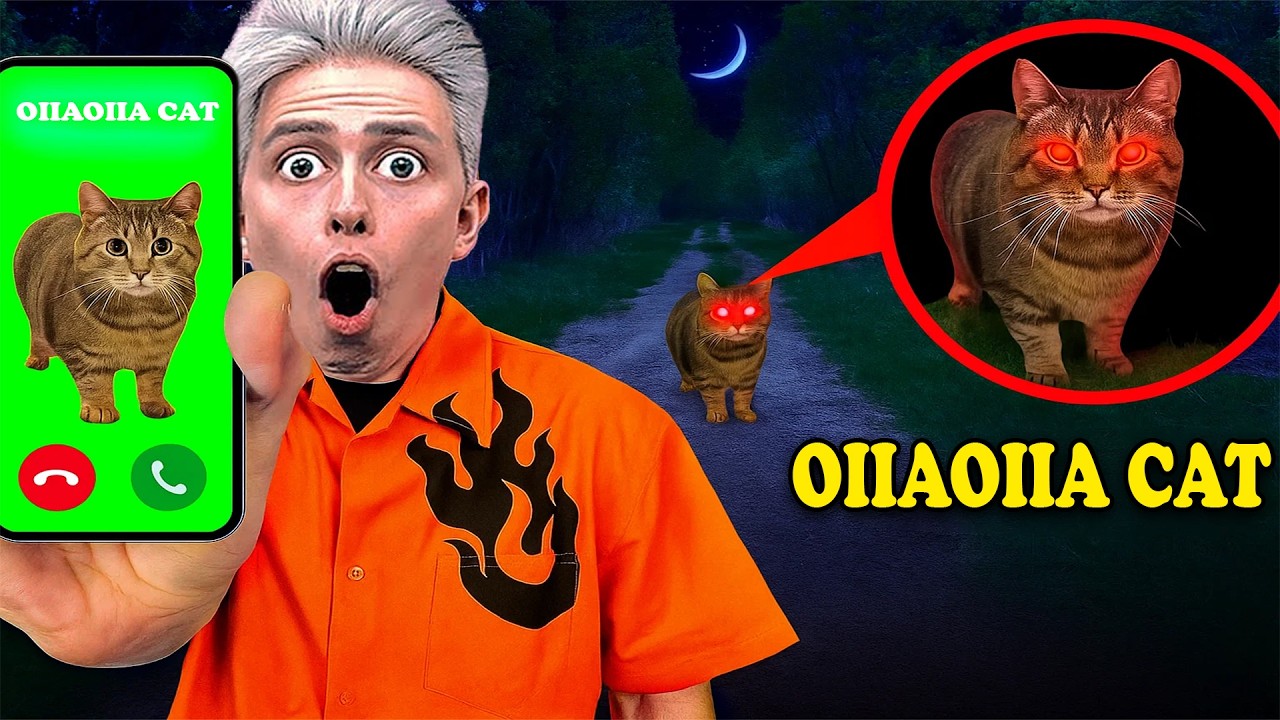 WE CALLED OIIAOIIA CAT at 3:00 AM — AND HE ANSWERED!