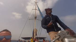 Whale Watching in Cape Verde Boa Vista