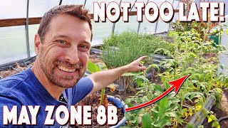 You're NOT Too Late! What To Plant In May Zone 8b Texas!