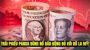 Panda-obligaties in opkomst: Yuan daagt Amerikaanse dollar uit - Rood alarm voor Washington