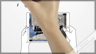 Celebrity Document Shredder Companies Wealth