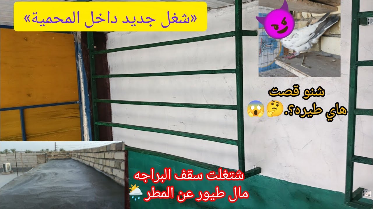 شغل جديد داخل المحمية😊طيرنة حمام لوت.٨ ديسمبر ٢٠٢٥