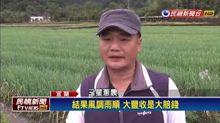 三星蔥價格暴跌 蔥農自救開放民眾自採－民視新聞