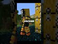 A Hacker INFECTED My Minecraft Server
