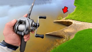 Fishing For GIANT Spring BASS In Small Ponds! (Bank Fishing)