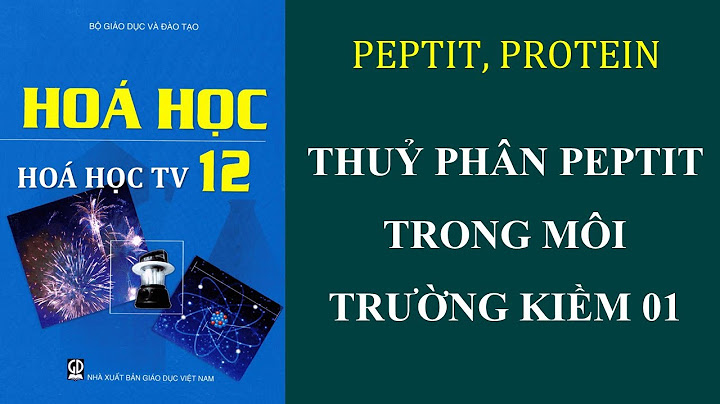 Các hợp chất peptit kém bền trong môi trường nào năm 2024