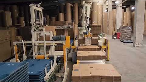TAEMS ROBOT PALLETIZER FOR CARTON ( CAN CONNECT WITH FLEXO FOLDER GLUER) DOUBLE BUNDLE GRABBING