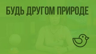 Будь другом природе. Видеоурок по окружающему миру 2  класс