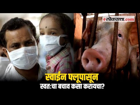 स्वाईन फ्लूची लक्षणे आणि त्यावरील उपाय | Swine Flu