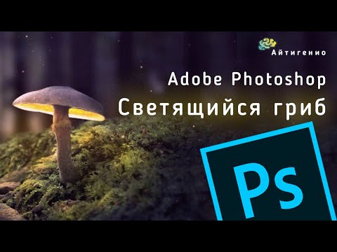 Уроки по Photoshop. Светящийся гриб
