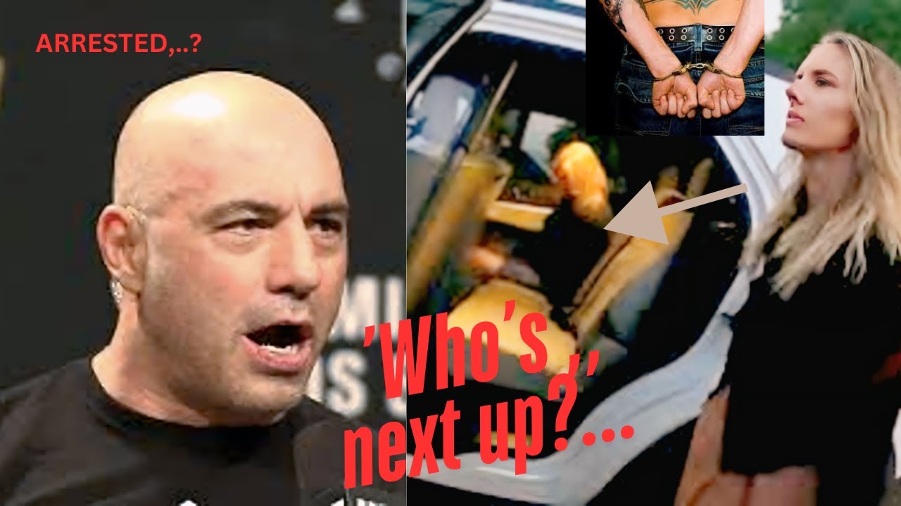 Joe Rogan Circle **Joe Rogan exposes Diddy’s Hollywood circle amid arrest rumors ...