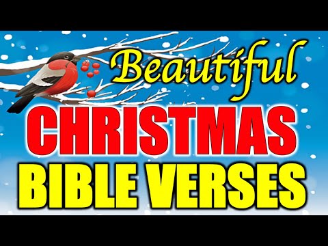 Share These Beautiful Christmas Bible Verses With Your Loved Ones This Holiday Season
