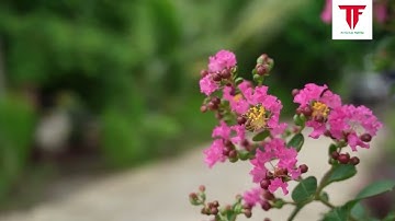 Dự án đường Hồ Chí Minh đoạn Long An mặt bằng đã sẵn sàng