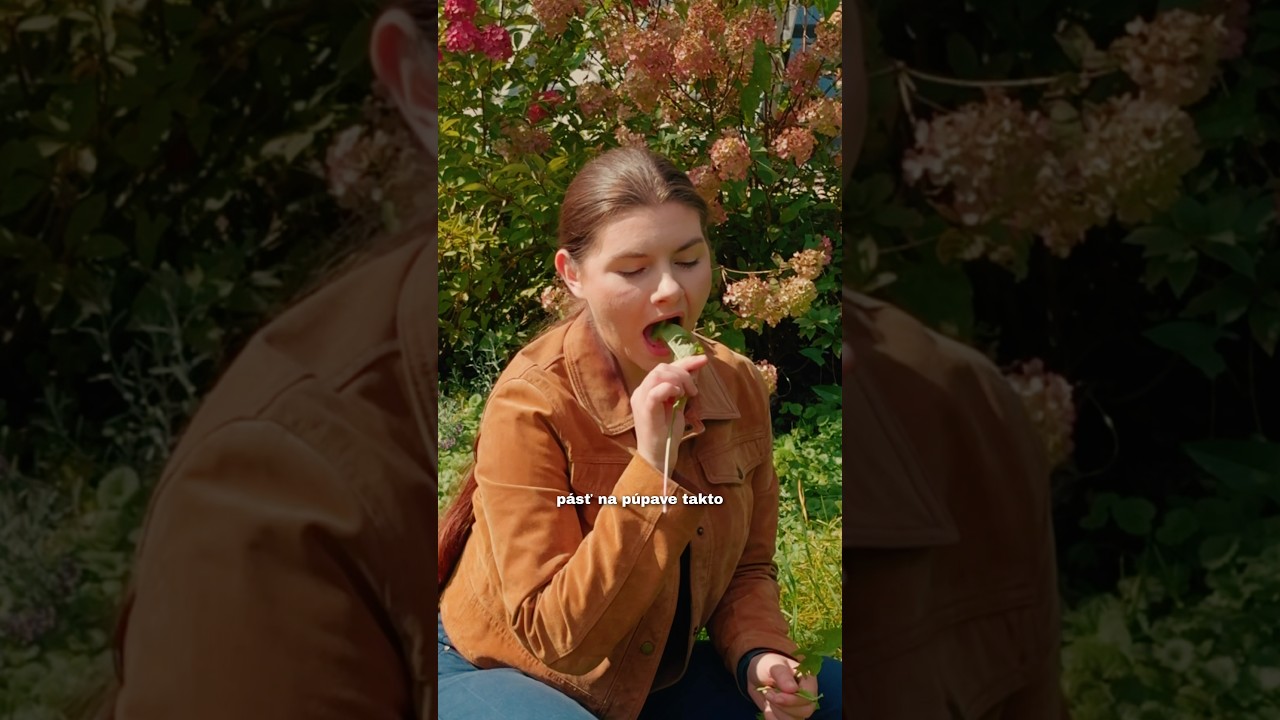 YouTube player