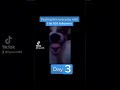 #shorts TikTok: posting this everyday Intill I hit 100 followers Day 3