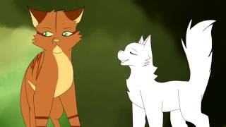 Fresh Prince of ThunderClan Cloudtail MAP Part 9