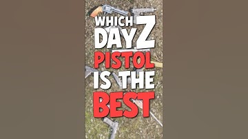What is the Best Pistol In DayZ✅