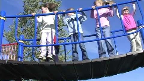 Clatterbridge with Guardrail - PlayBooster® - Landscape Structures