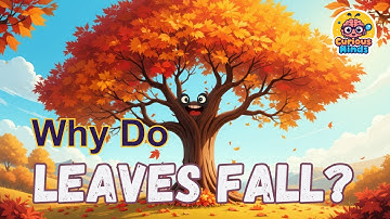 Why Do Leaves Fall? 🍂 The Amazing Science of Autumn Colors & Trees! | Curious Minds Kids Science