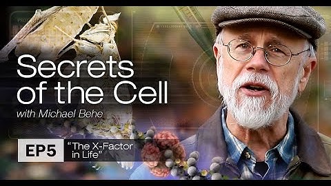 The X Factor in Life (Secrets of the Cell with Michael Behe, Ep  5)