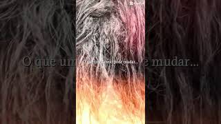 Cabelo alinhado,com Brilho e muito mais Auto Estima✨ #cabeloslindo #cuidadocomcabelo #cabelosdediva