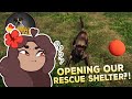 Opening Our Own ANIMAL RESCUE Shelter?! 🐱🩹 Animal Shelter Simulator Prologue