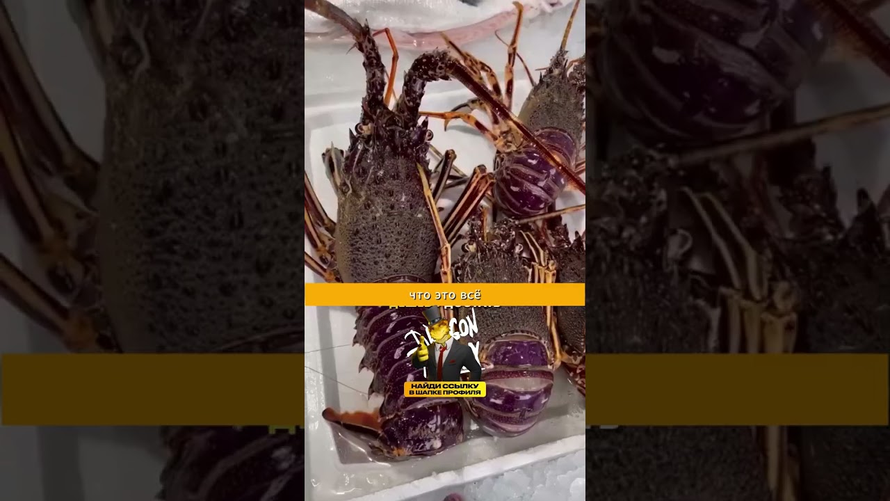 Эти факты о еде тебя поразят! Ты не знал этого раньше