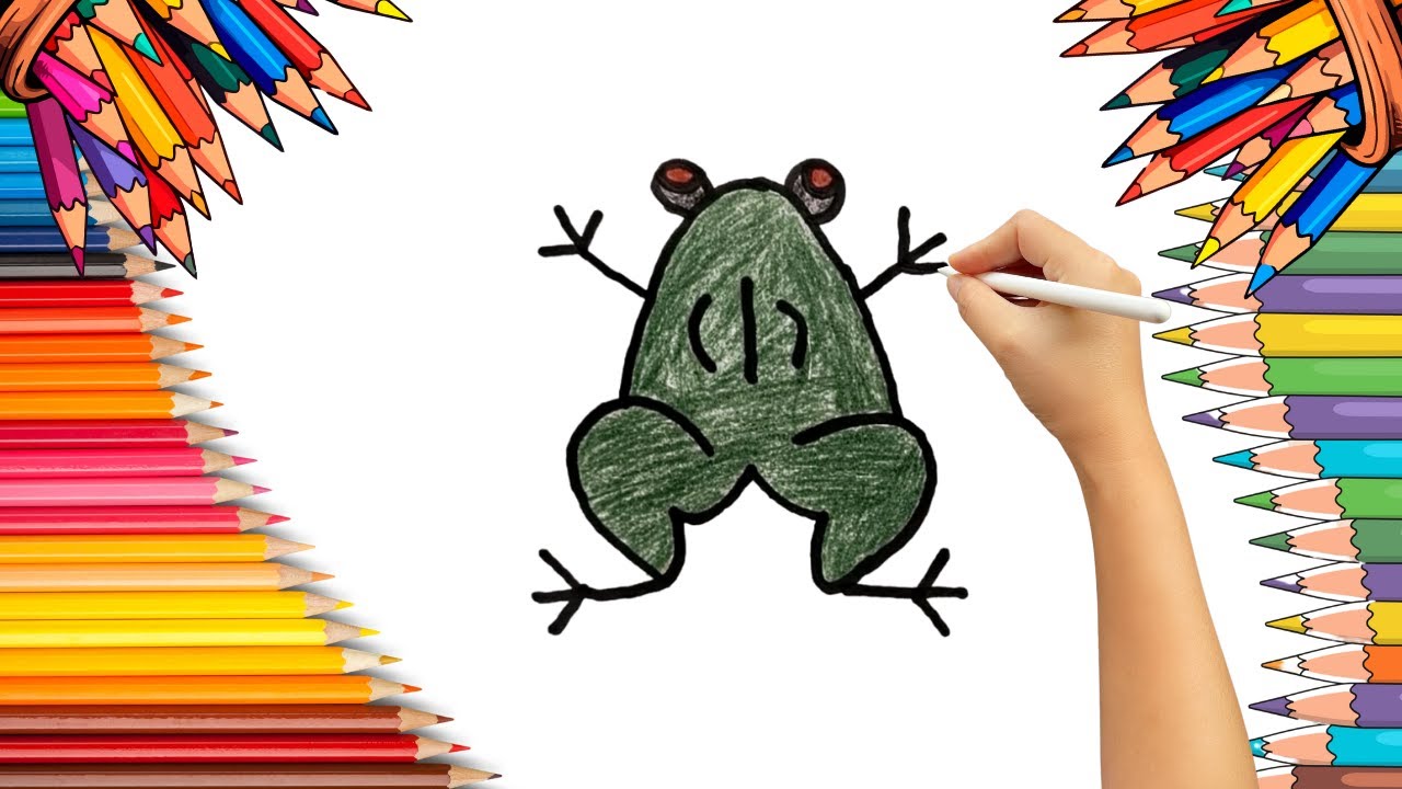 How To Draw cute Frog Drawing, Painting & Coloring For Kids and Toddlers_ Child Art 🐋🌈🎨