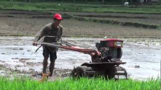 Life in a Day—Philippine Rice Field